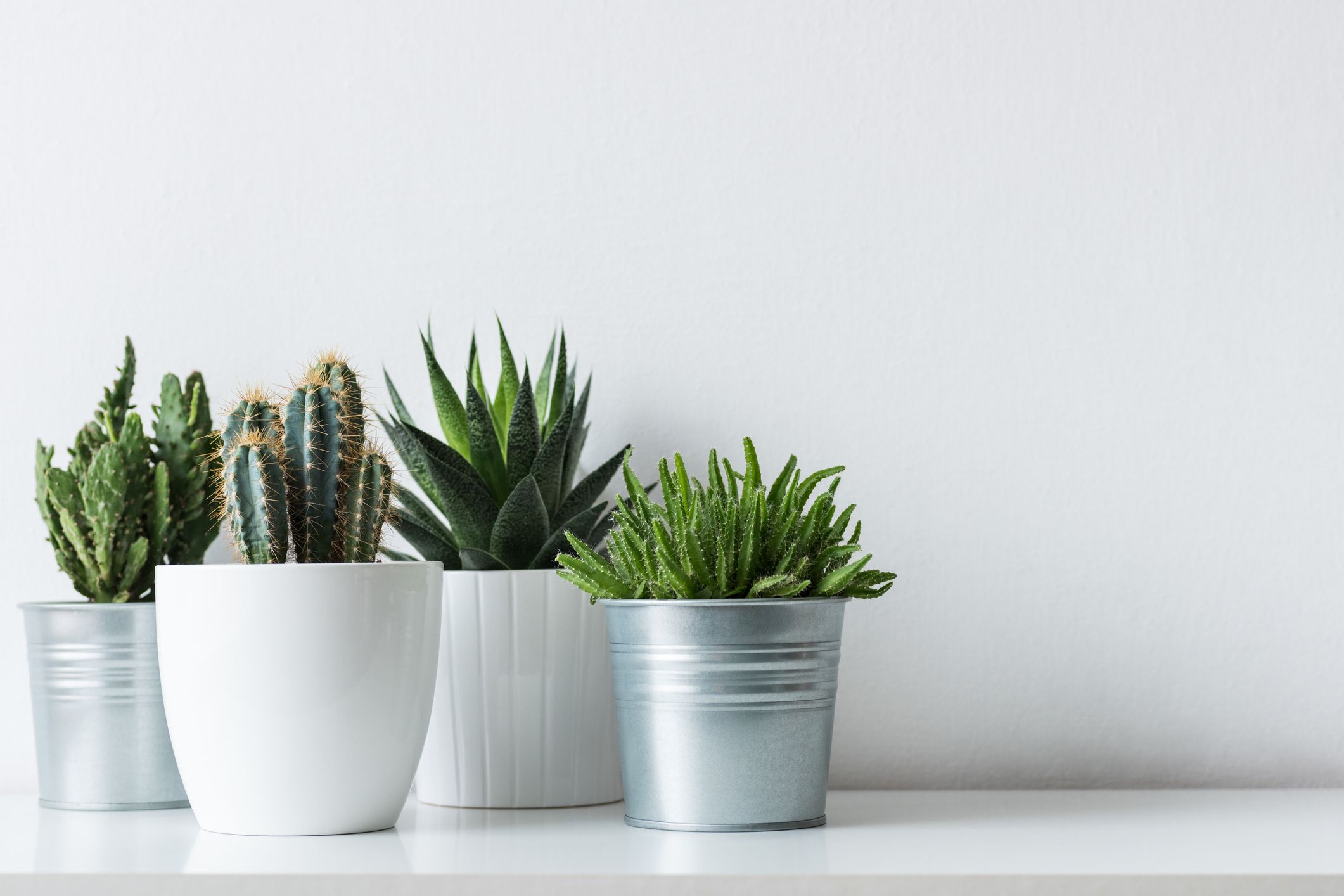 The Benefits Of Artificial Plants Over Real Plants