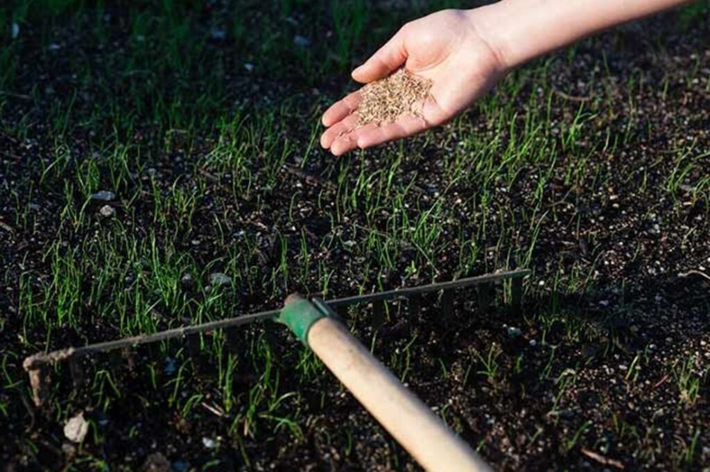 Commercial Painters in Wellington